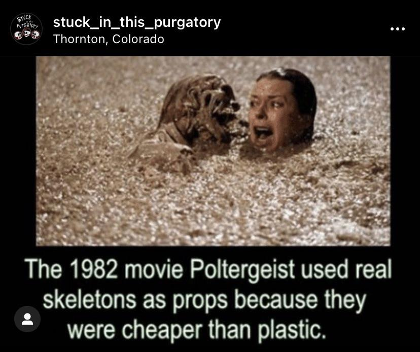 Use of Real Skeletons inside the Film