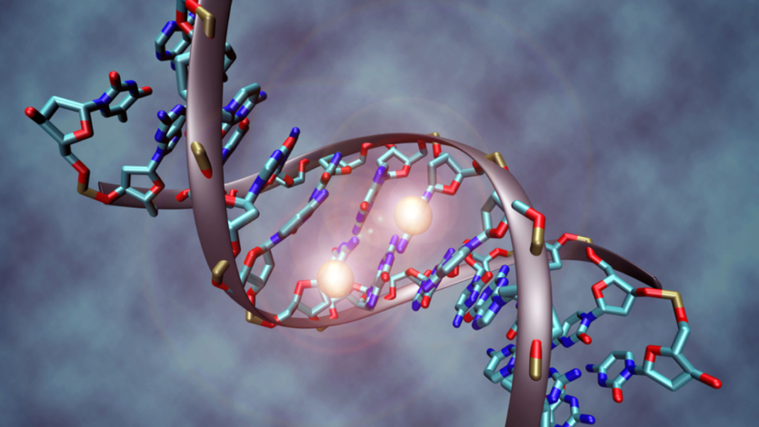 The Implications of Epigenetics for Addiction Treatment